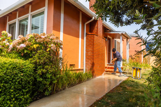 Best Commercial Building Pressure Washing  in June Park, FL