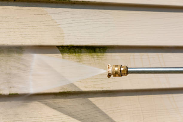 Trusted June Park, FL Pressure Washing Experts